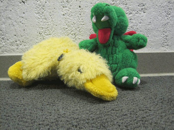 Best friends for ever